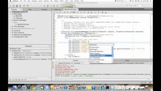 NetBeans integration features for GlassFish Server 3.1