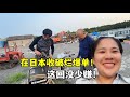 在日本收破爛財運爆棚!廠子裡遍地都是好貨,這回沒少賺!
