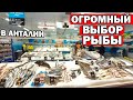 СВЕЖАЯ РЫБА В АНТАЛИИ - где купить? Самый большой выбор рыбы - METRO