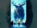 animals#o.m.g #youtubeshorts #youtubevideos