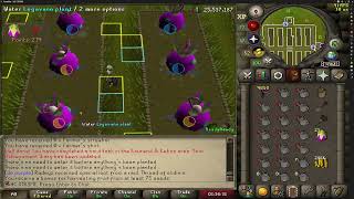 Tithe Farm Guide | 25x4 Max Points