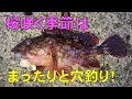 まったりとした穴釣りでカサゴが釣れました！