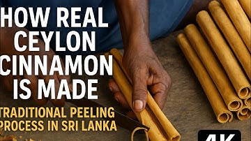 How Real Ceylon Cinnamon Is Made – Traditional Peeling Process in Sri Lanka 