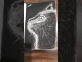 charcoal cat drawing #artist #alltypeofdrawings #shortvideo #animaldrawing