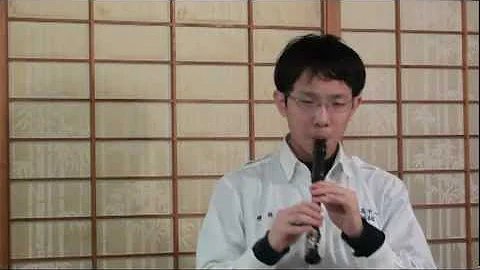 Flight of the Bumblebee - Rimsky-Korsakov - Recorder