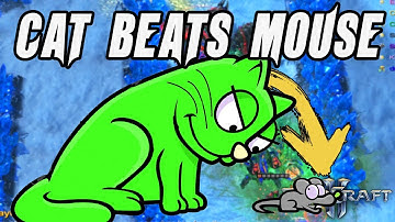 I Become A Cat And Hunt Down Mice In Starcraft 2 Cat And Mouse Arcade Game [Cat Gameplay]