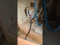 Eletricidade perigosa!