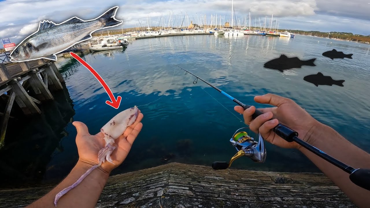 Je PÊCHE le BAR avec une TECHNIQUE SURPRENANTE dans ce PORT ! 