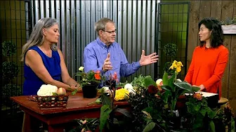 Great Gardening | Preparing for Fall and Saving Your Plants