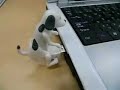 USB/Pen Drive