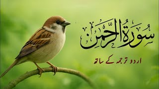 Download Lagu Surah Rahman Urdu Tarjuma k Sath🌿 | Qari Al Sheikh Abdul Basit Abdul Samad | Allah Loves Him MP3 Download Lagu Surah Rahman Urdu Tarjuma k Sath🌿 | Qari Al Sheikh Abdul Basit Abdul Samad | Allah Loves Him MP3