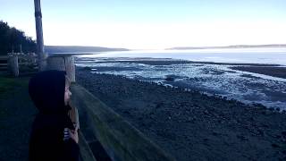 WP 20140124 003