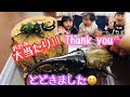 【ニジイロクワガタ】プレゼント企画！まさかの当選😆✨