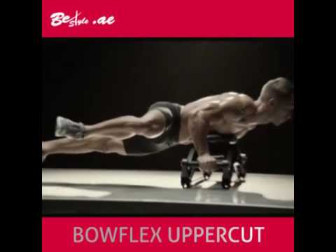 Bowflex Uppercut Workout Chart