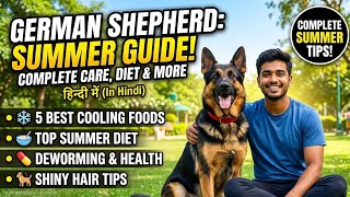 German Shepherd Summer Diet & Care Guide ☀️ | 5 Summer Foods For Dogs 🐕