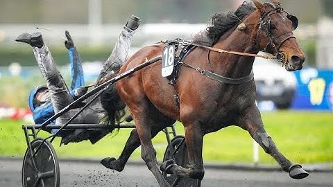 2025 PRIX D’AMERIQUE LEGEND RACE (FULL REPLAY)