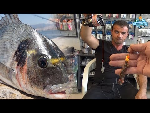 Kıyıdan Büyük Balık Garanti!! / Surf Casting İçin En iyi Olta Takımı