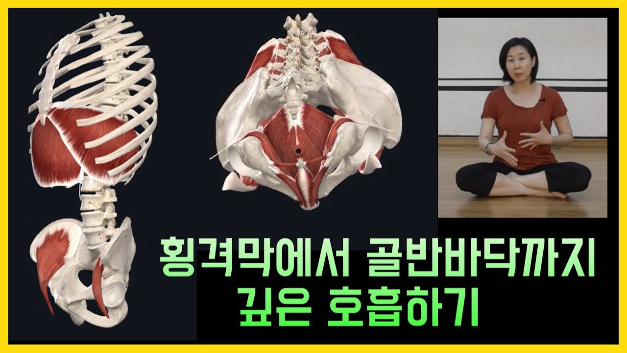 [마름모코어 시즌 1-72] 횡격막부터 골반바닥까지 호흡하는 법 / 호흡만 잘해도 바른정렬, 골반중립 / 마름모코어 스트레칭