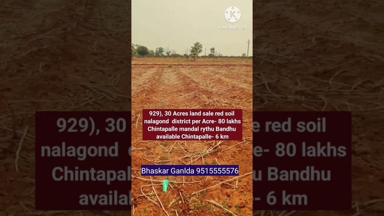 929), 30 Acres land sale red soil land nalagond  district per Acre- 80 lakhs Chintapalle mandal