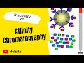 Who discovered affinity chromatography 2020  affinity chromatography    helsite