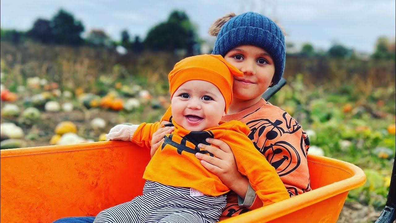 Millets Farm Pumpkin Picking