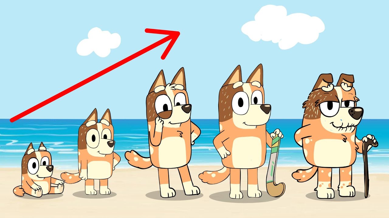 Chilli Heeler GROWING UP EVOLUTION  | Bluey