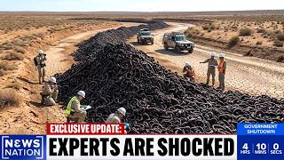 Biologists Returned to Florida's Drained Wetlands — What They Found Is Beyond Horrifying