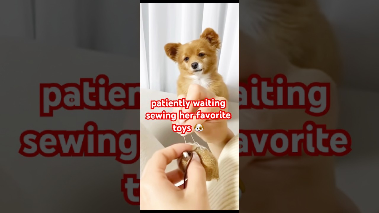 patiently waiting sewing her favorite toys 