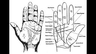 линии на правой руке отличаются от линий на левой. хиромантия