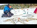 ЖЕРЛИЦЫ ГОРЯТ ПАЧКАМИ! ЛОВИМ ЗАПРЕЩЁННЫМ СПОСОБОМ! ВОТ ЭТО ЖОР! Зимняя рыбалка с Мишаней на жерлицы