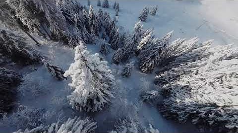 DJI O3 Air Unit 4K 120fps - GoPro BAD ?