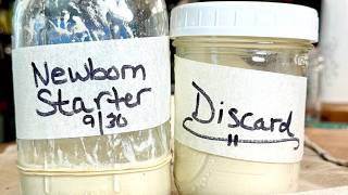 Sourdough Classroom, Day 2: Feeding the Newborn Starter