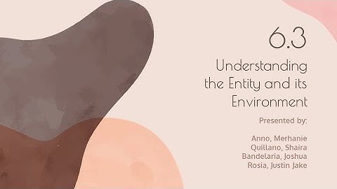 Chapter 6.3 - Understanding the Entity & its Environment | PART 2 (CBET-01-702P)
