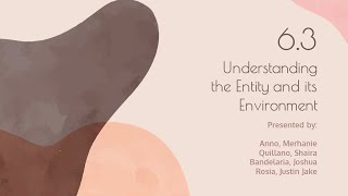 Chapter 6.3 - Understanding the Entity & its Environment | PART 2 (CBET-01-702P)
