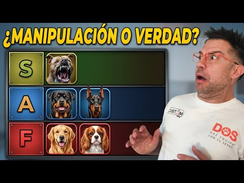 LAS 5 RAZAS DE PERRO MÁS PELIGROSAS (que más atacan a personas) ¿VERDAD O MANIPULACIÓN?