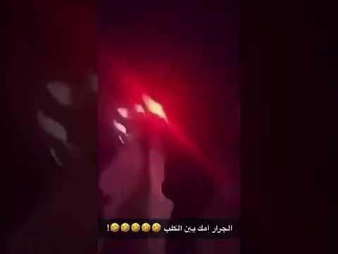 الجرار امك يابن الكلب