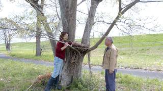 A heartwarming story unfolding in everyday life / A country life with my husband screenshot 3