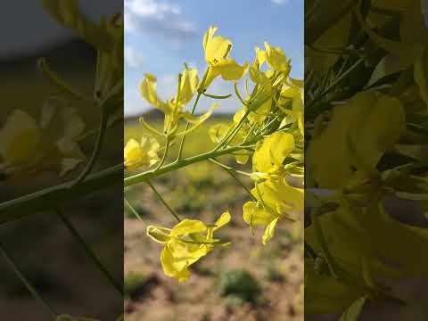 ١٩ يونيو ٢٠٢٣