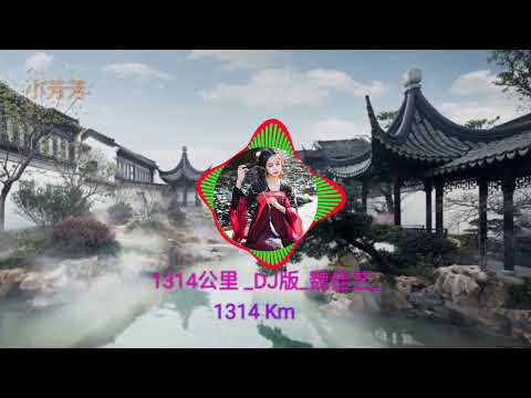 1314公里 DJ版 (1314Km) #魏佳艺#抖音最好听的歌曲2022#