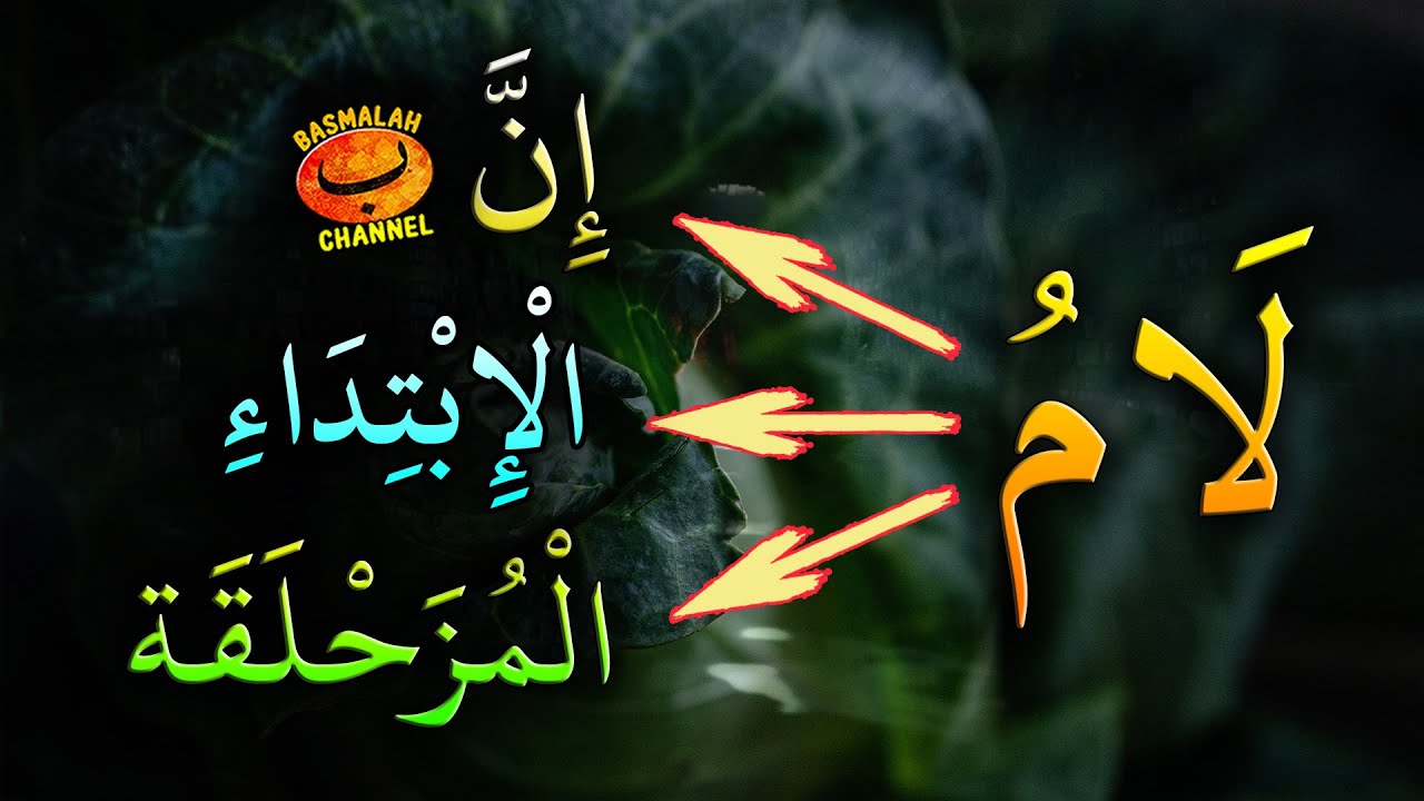 BELAJAR NAHWU - SHORROF : Lam Ibtida' / Lam Muzahlaqoh / Lam Inna. Fungsi dan pengaruhnya
