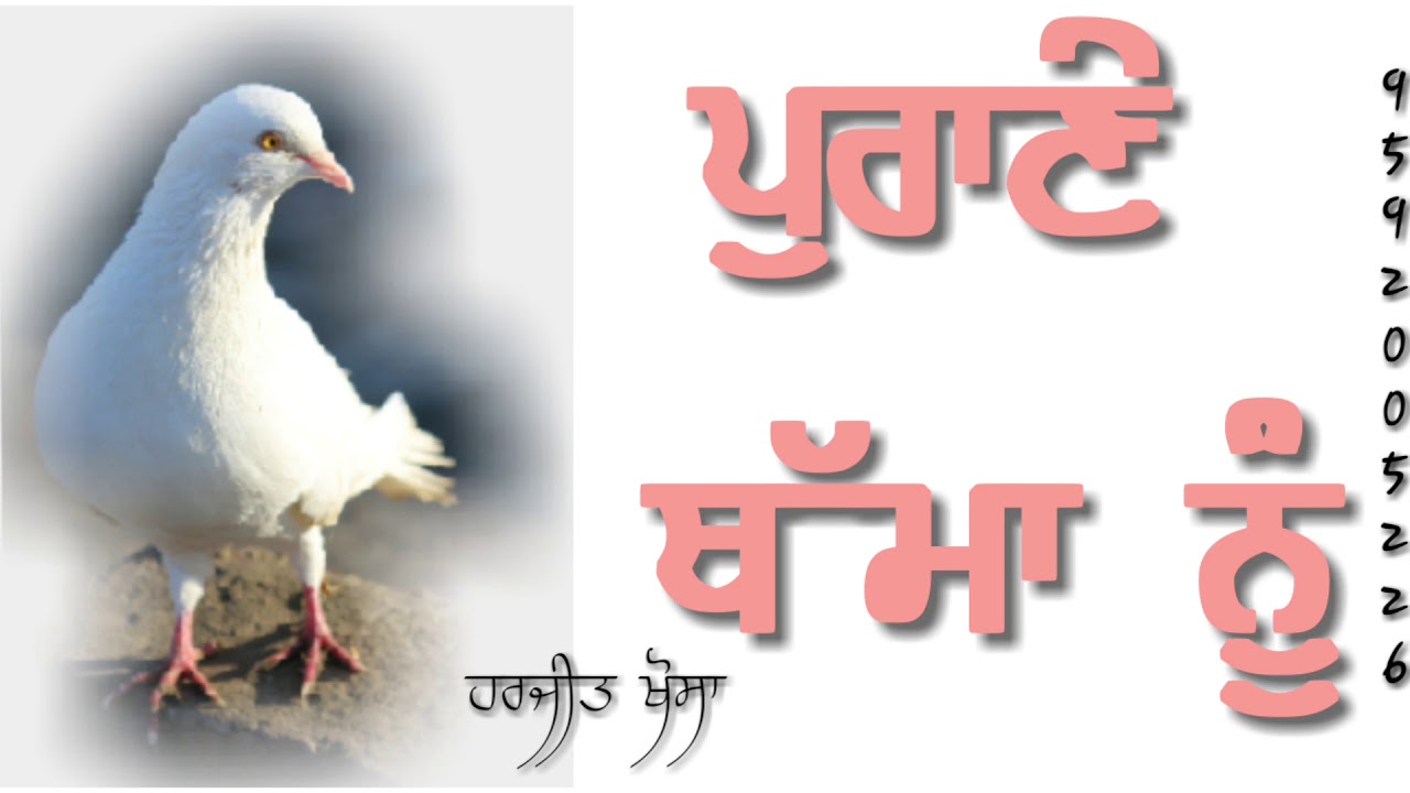  Att Kabter Siraa Whatapp Status Subscribe YouTube
