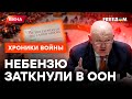 Россию ВЫСМЕЯЛИ В ООН: когда страна-агрессор ЛИШИТСЯ ПРАВА ВЕТО @skalpel_ictv