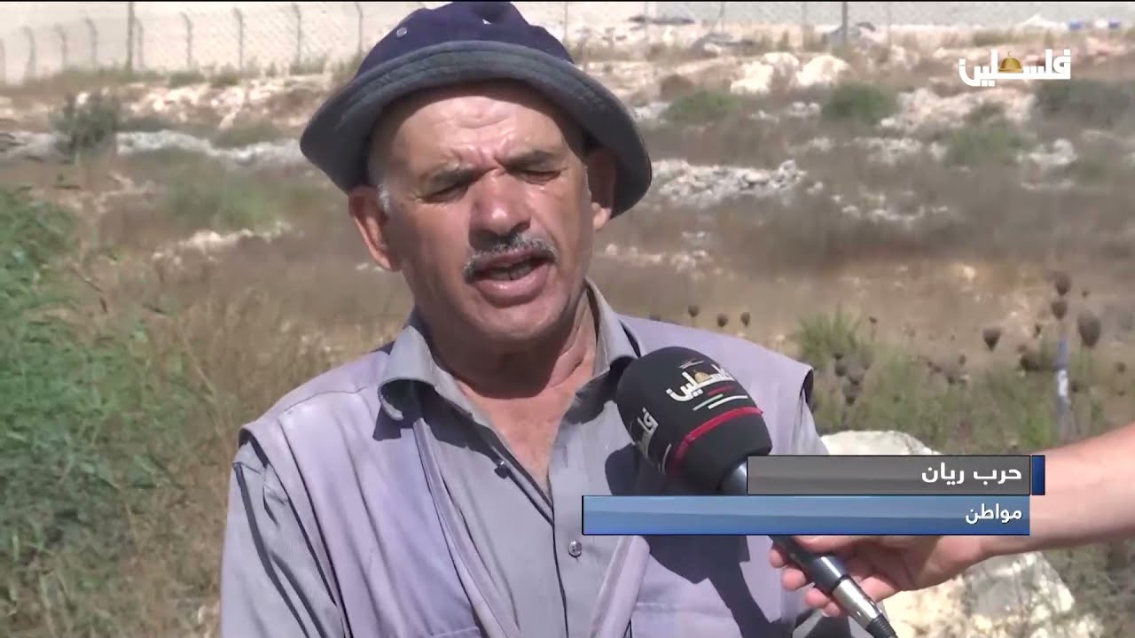 سلفيت: الاحتلال يمنع أهالي بلدة قراوة بني حسان من العمل في أراضيهم