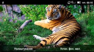 Tiger Best HD live wallpaper screenshot 1