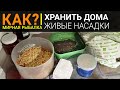 Как хранить червя, опарыша, мотыля и пинку дома? Наживки для рыбалки.