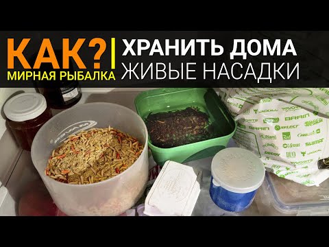 Как хранить червя в домашних условиях