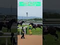 障害レースで落馬…放馬した馬が、1人で帰ってきた💦京都ハイジャンプ、テリオスルイ号#shorts