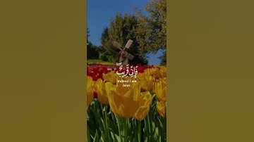 سورة البقرة | القارئ سالم الرويلي قرآن كريم حالات واتس اب دينية 😍