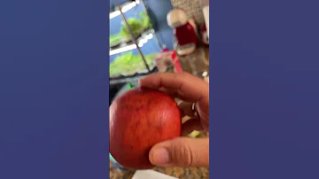НОВЫЙ ВИД АПЕЛЬСИНА 🍊
