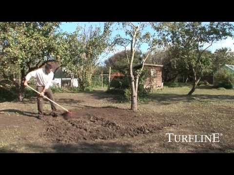 Video: Hur Man Planterar En Gräsmatta: Med Eller Utan Galler